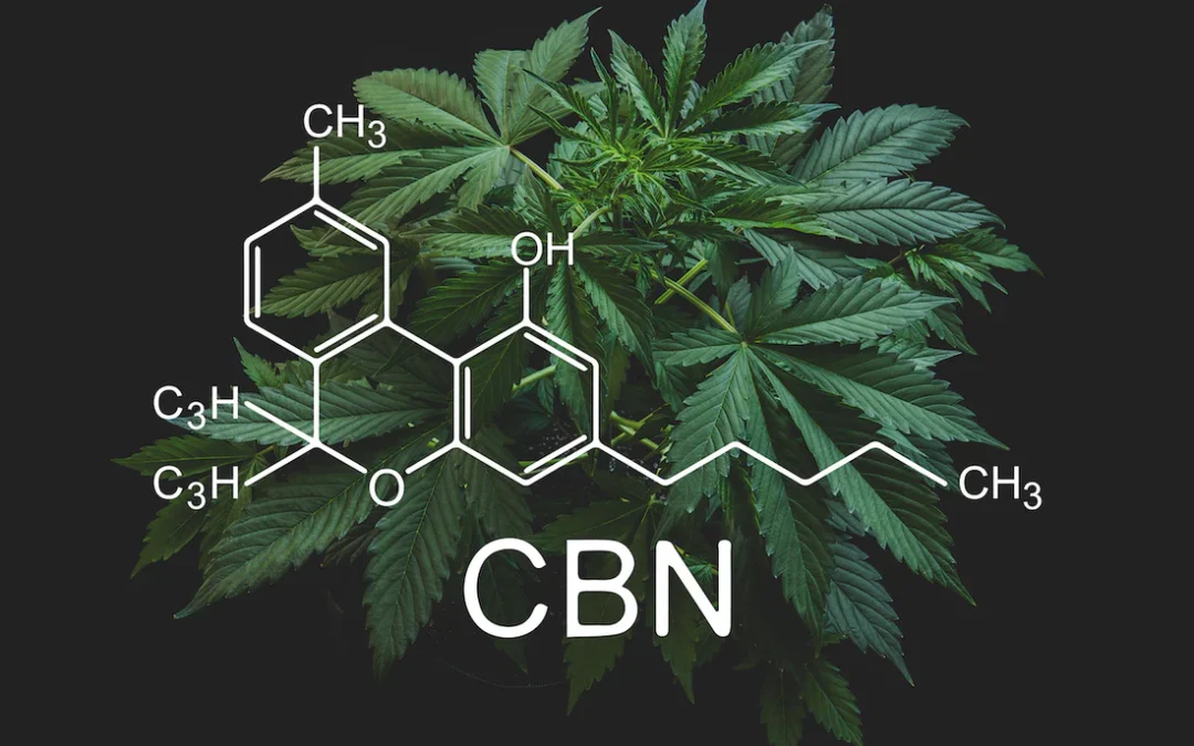 Le CBN : un cannabinoïde aux propriétés prometteuses