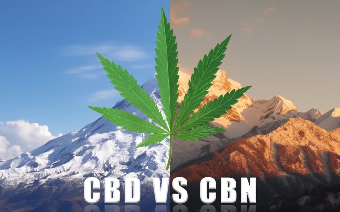 cbn-vs-cbn