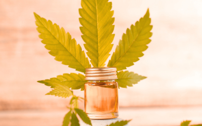 Où acheter du CBD à Pierrelatte ? Guide local complet et conseils